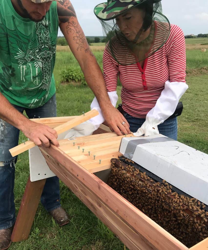 Honey Bees; How To Install A Nuc Into A Top Bar Hive - EASY - Two Oaks ...