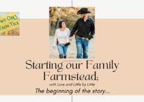 Starting our Family Farmstead; with Love and Little by Little