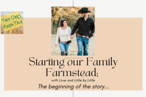 Starting our Family Farmstead; with Love and Little by Little
