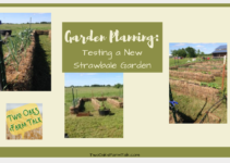 Garden Planning – Testing a New Straw Bale Garden