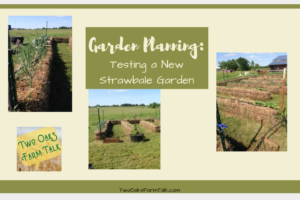 Garden Planning – Testing a New Straw Bale Garden