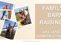 Family Barn Raising; Life, Love and Construction