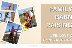 Family Barn Raising; Life, Love and Construction