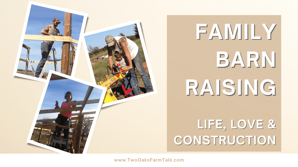 Family Barn Raising; Life, Love and Construction 1