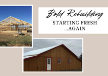 Bold Rebuilding; Starting Fresh…Again