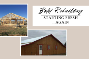 Bold Rebuilding; Starting Fresh…Again