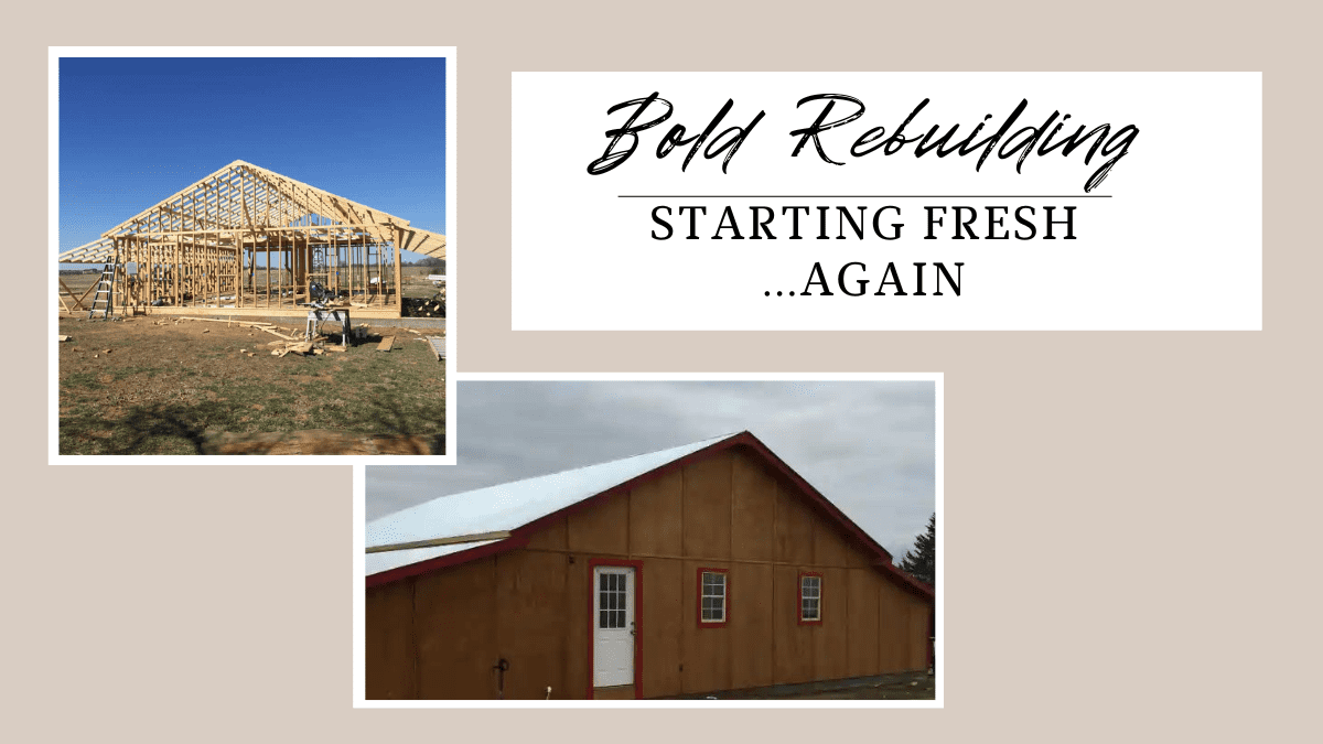rebuilding