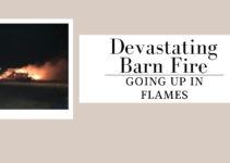 Devastating Barn Fire; Going up in Flames