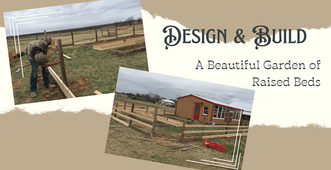 raised beds