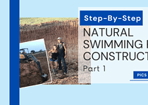 Building a Natural Pool, Stage 1
