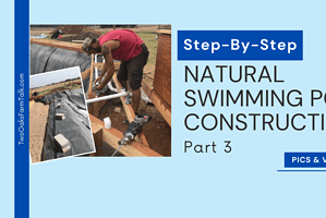 Natural Swimming Pool, Stage 3