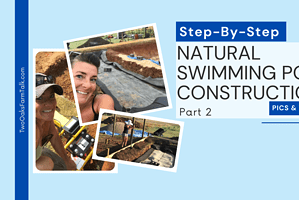 Natural Pool Project, Stage 2