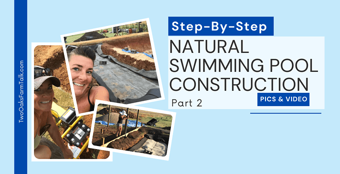 natural pool project