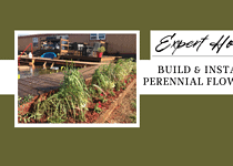 Expert How-to; Build and Install a Beautiful Perennial Flower Bed