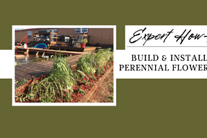 Expert How-to; Build and Install a Beautiful Perennial Flower Bed