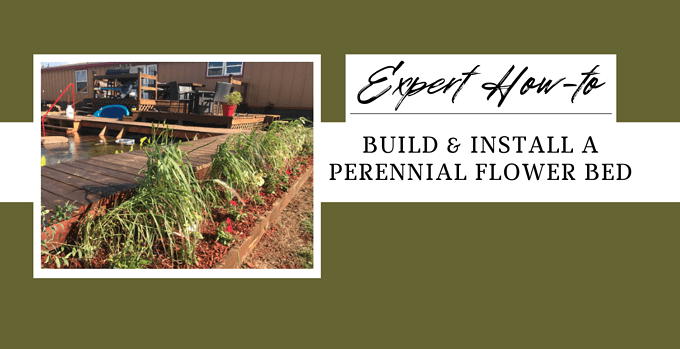 perennial flower bed
