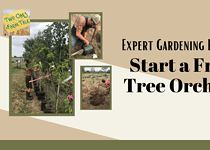 Expert Gardening How-to; Start a Fruit Orchard – Easy DIY