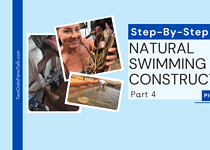 Natural Pool Project, Stage 4