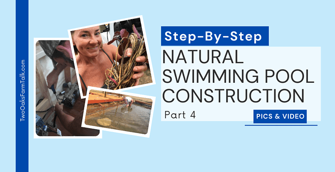 natural swimming pool