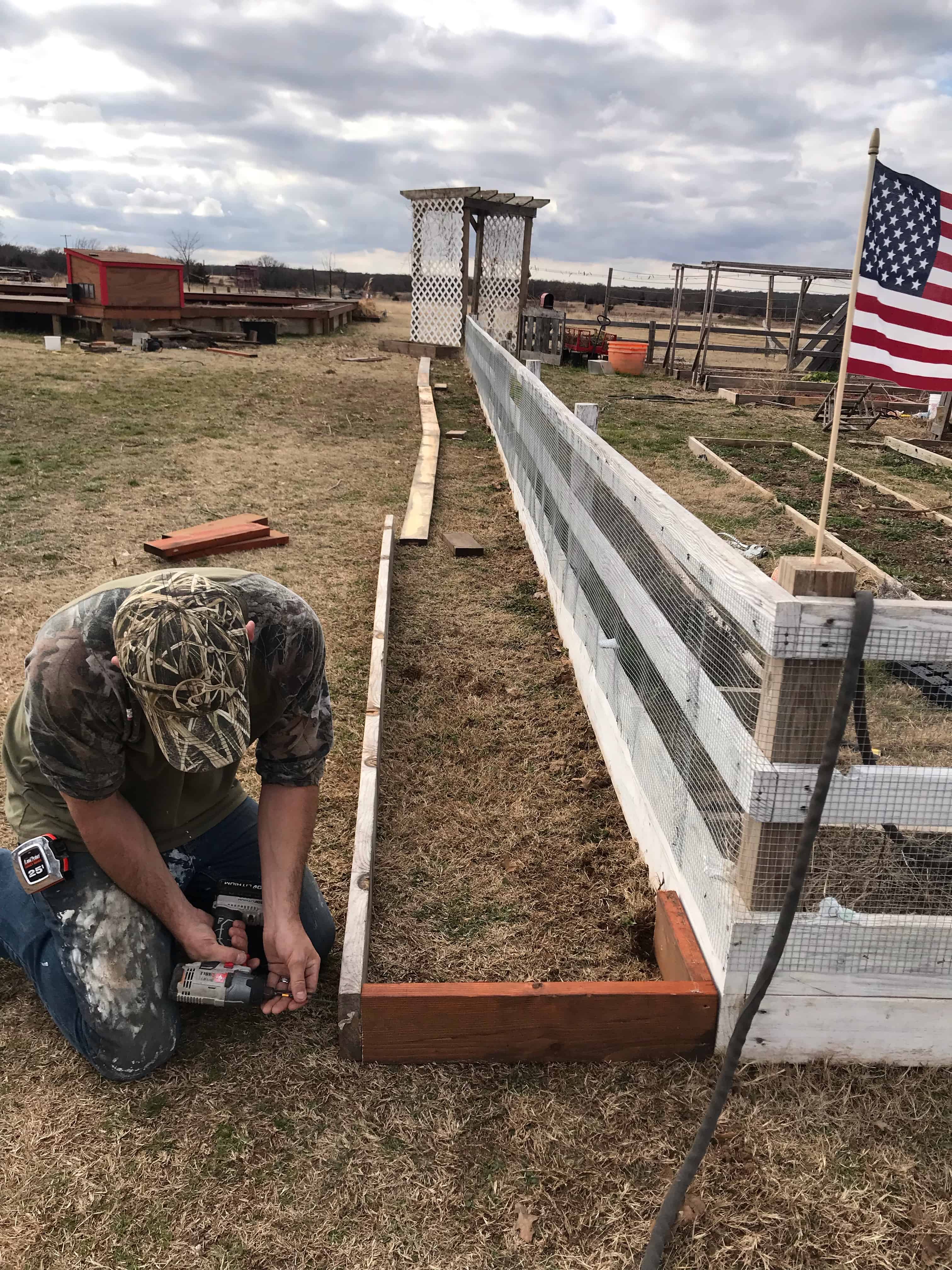 new raised beds