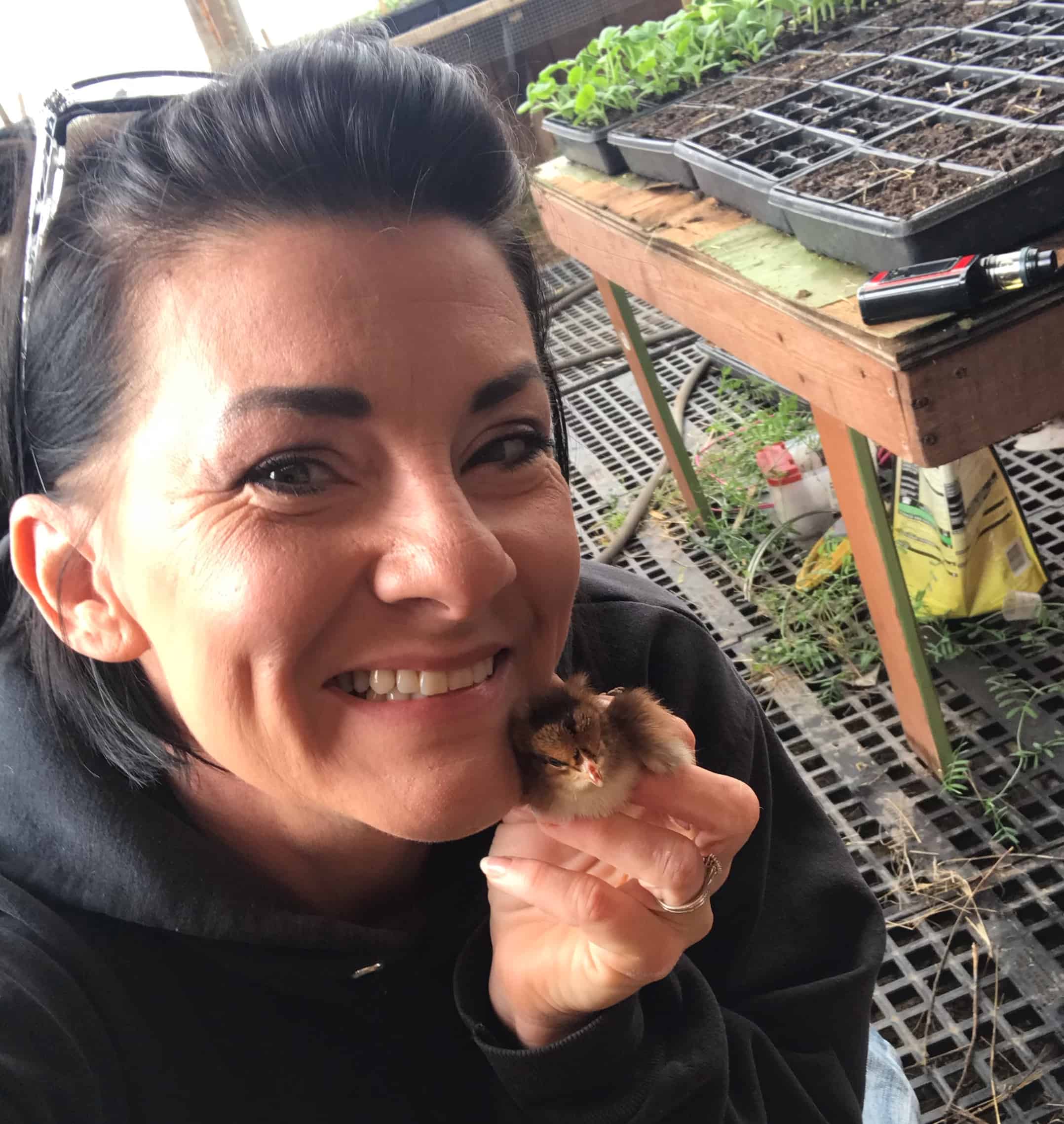 Unboxing Precious New Baby Chicks!