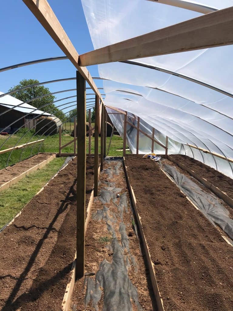 Expert How-to; Build a Hoop House for Gardening Success - Two Oaks Farm ...