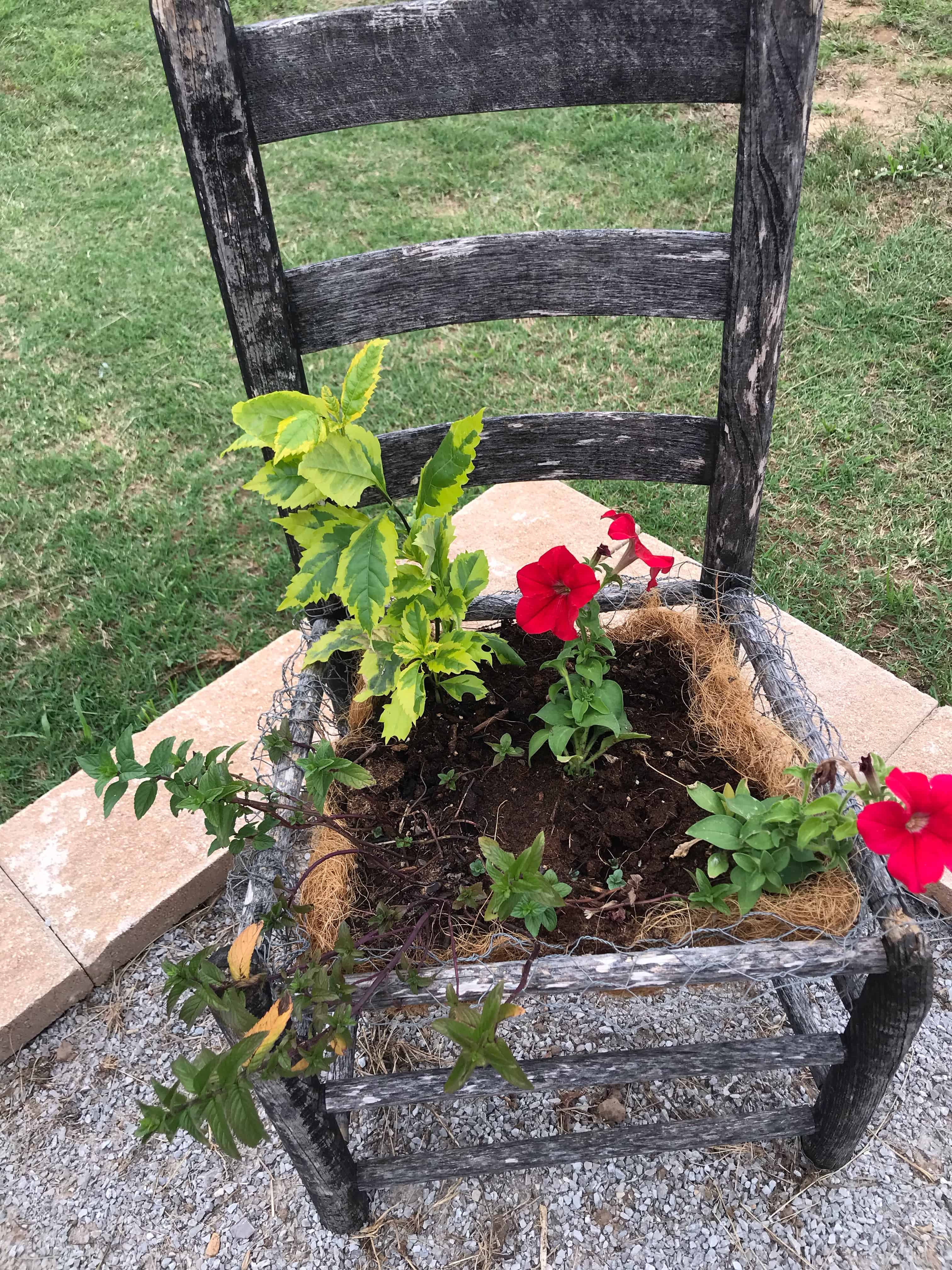 Expert How-To; Build a Gorgeous Chair Planter