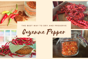The Best Way to Dry and Preserve Cayenne