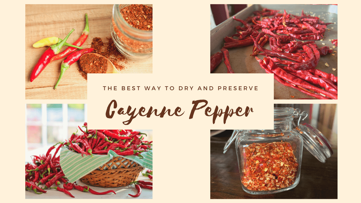 cayenne pepper