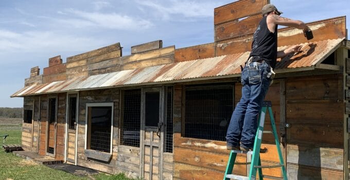western town, animal village