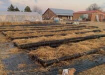 Building a Productive New Raised Bed Garden