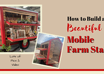 How to Build a Beautiful and Fruitful Mobile Farm Stand – Photos and Video