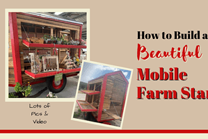 How to Build a Beautiful and Fruitful Mobile Farm Stand – Photos and Video