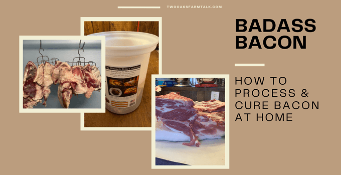 badass bacon