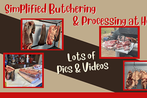 Simplified Butchering and Processing at Home on the Farm – Pics & Video