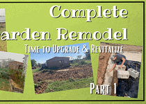 Complete Garden Remodel – Time to Upgrade and Revitalize; Part 1