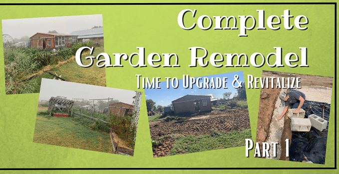 Complete Garden Remodel - Time to Upgrade and Revitalize; Part 1 1