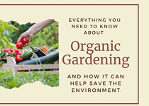 Everything You Need to Know About Organic Gardening and How it Can Help Save the Environment