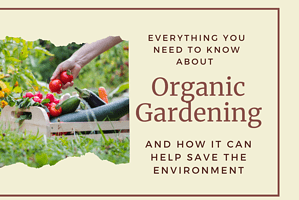 Everything You Need to Know About Organic Gardening and How it Can Help Save the Environment