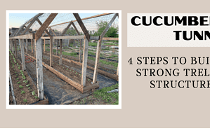 Cucumber Tunnel; 4 Steps to Build a Strong Trellis Structure