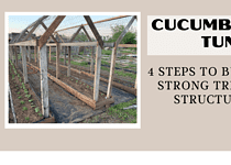 Cucumber Tunnel; 4 Steps to Build a Strong Trellis Structure