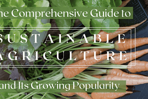 The Comprehensive Guide to Sustainable Agriculture and Its Growing Popularity