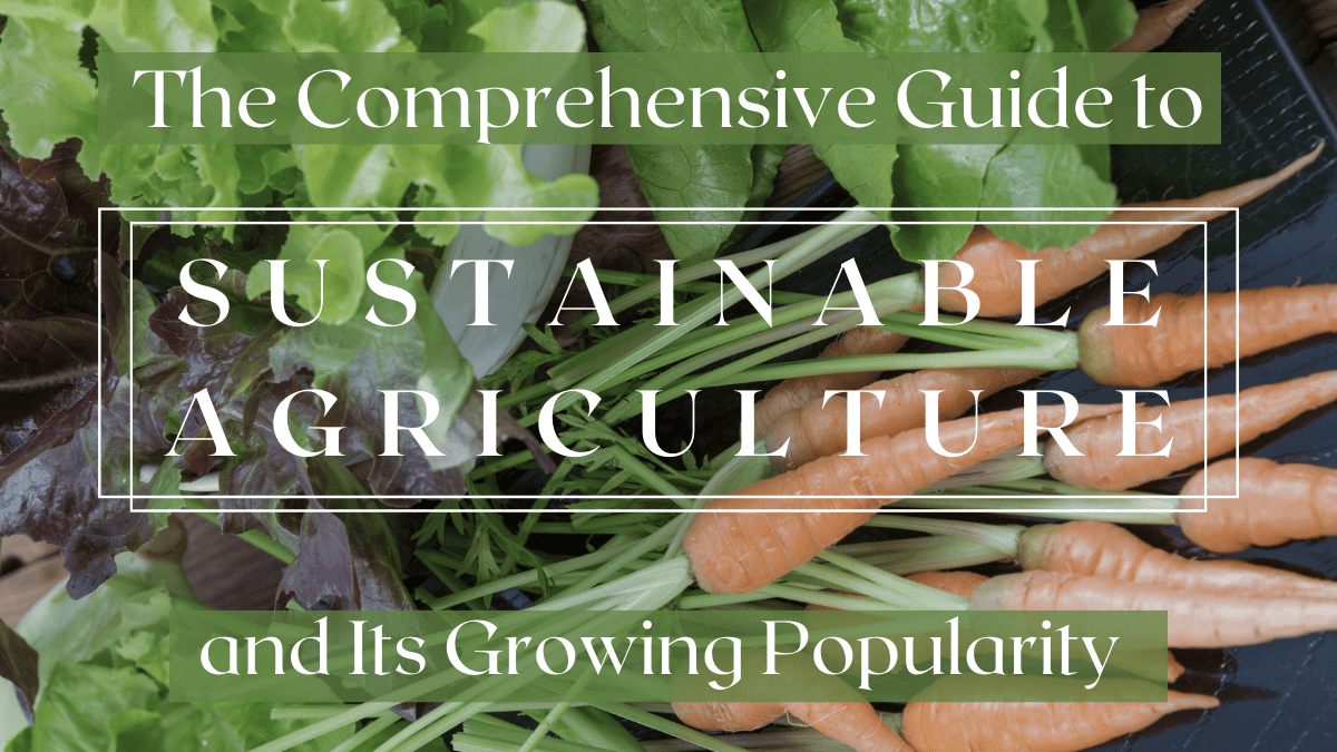 The Comprehensive Guide To Sustainable Agriculture And Its Growing ...