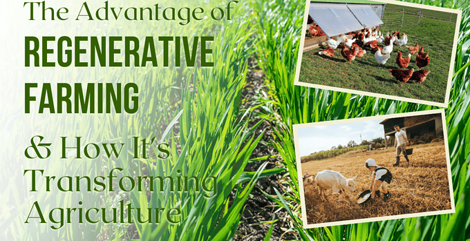 regenerative farming