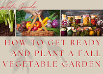 A Complete Guide: How to Get Ready and Plant a Fall Vegetable Garden