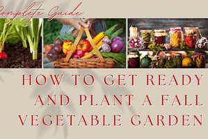 A Complete Guide: How to Get Ready and Plant a Fall Vegetable Garden