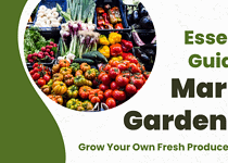 The Essential Guide to Market Gardening – Grow Your Own Fresh Produce at Home