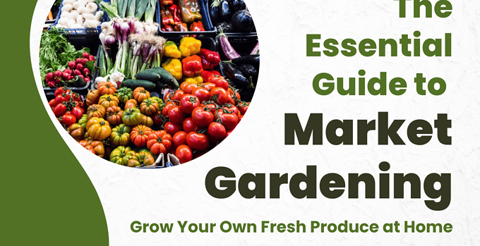 market garden