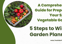 A Comprehensive Guide for Preparing Your Spring Vegetable Garden: 5 Steps to Winter Garden Planning