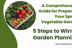 A Comprehensive Guide for Preparing Your Spring Vegetable Garden: 5 Steps to Winter Garden Planning